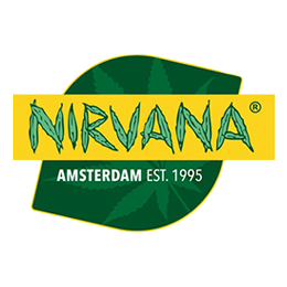 nirvana